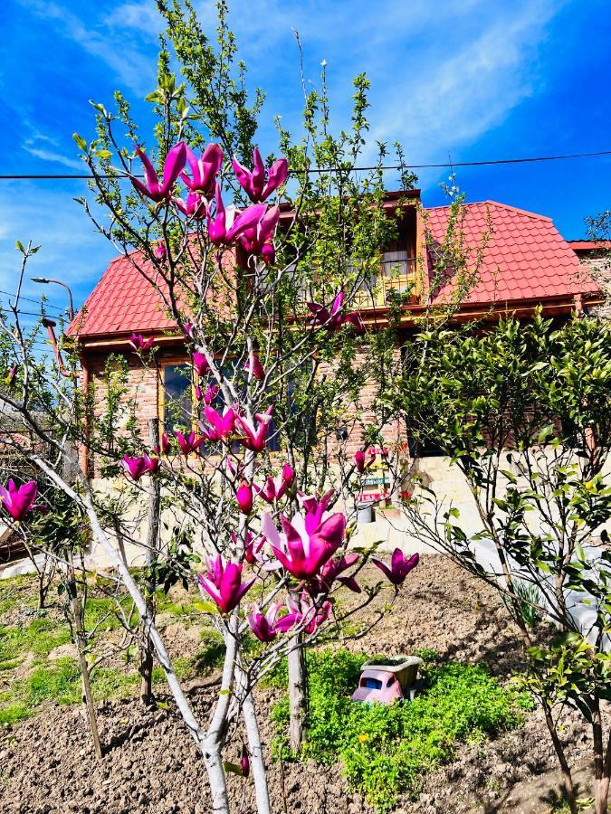Villa Sunshine House Kutaissi Exterior foto