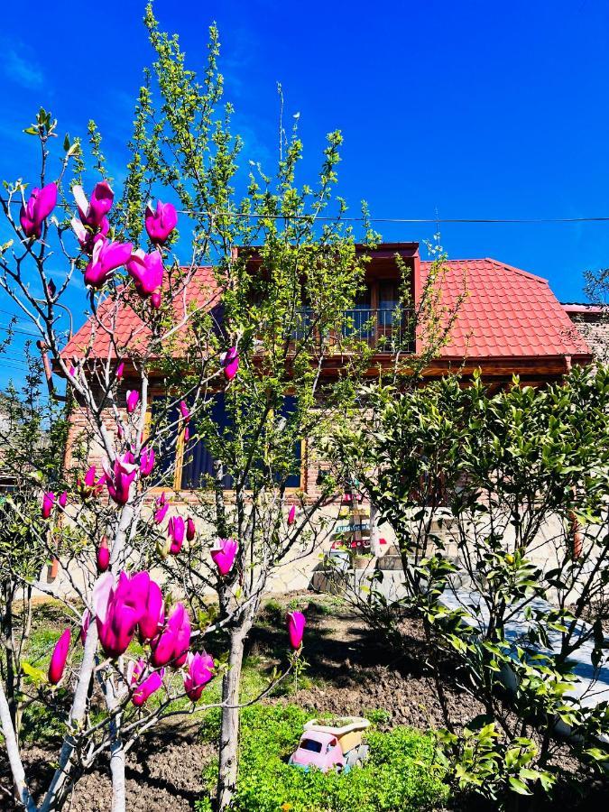 Villa Sunshine House Kutaissi Exterior foto