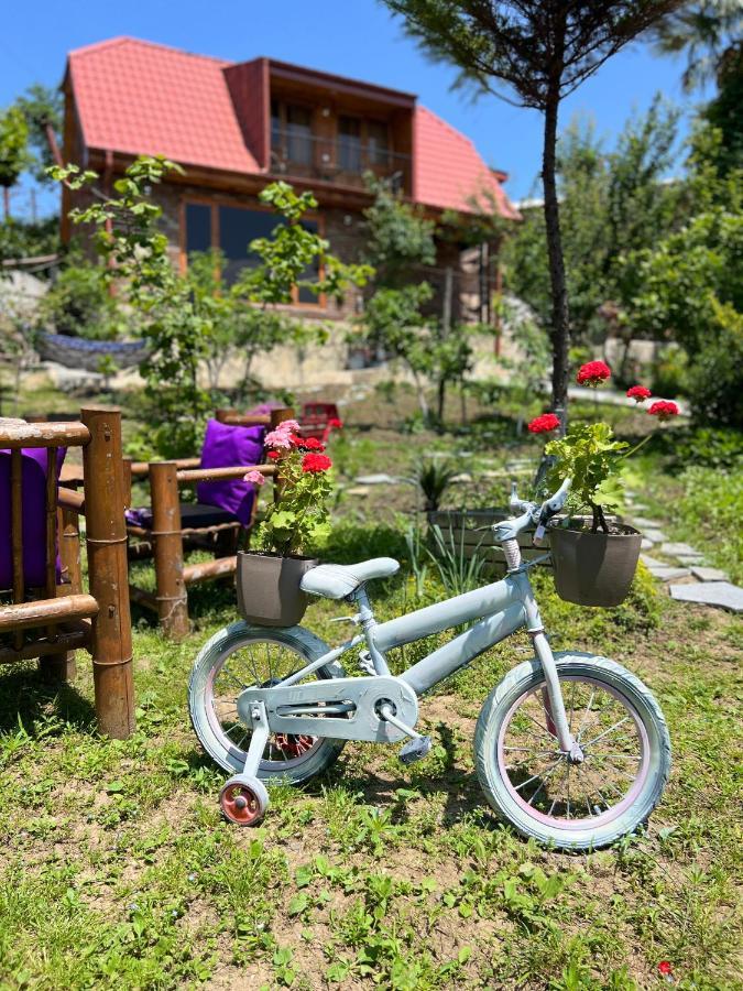 Villa Sunshine House Kutaissi Exterior foto